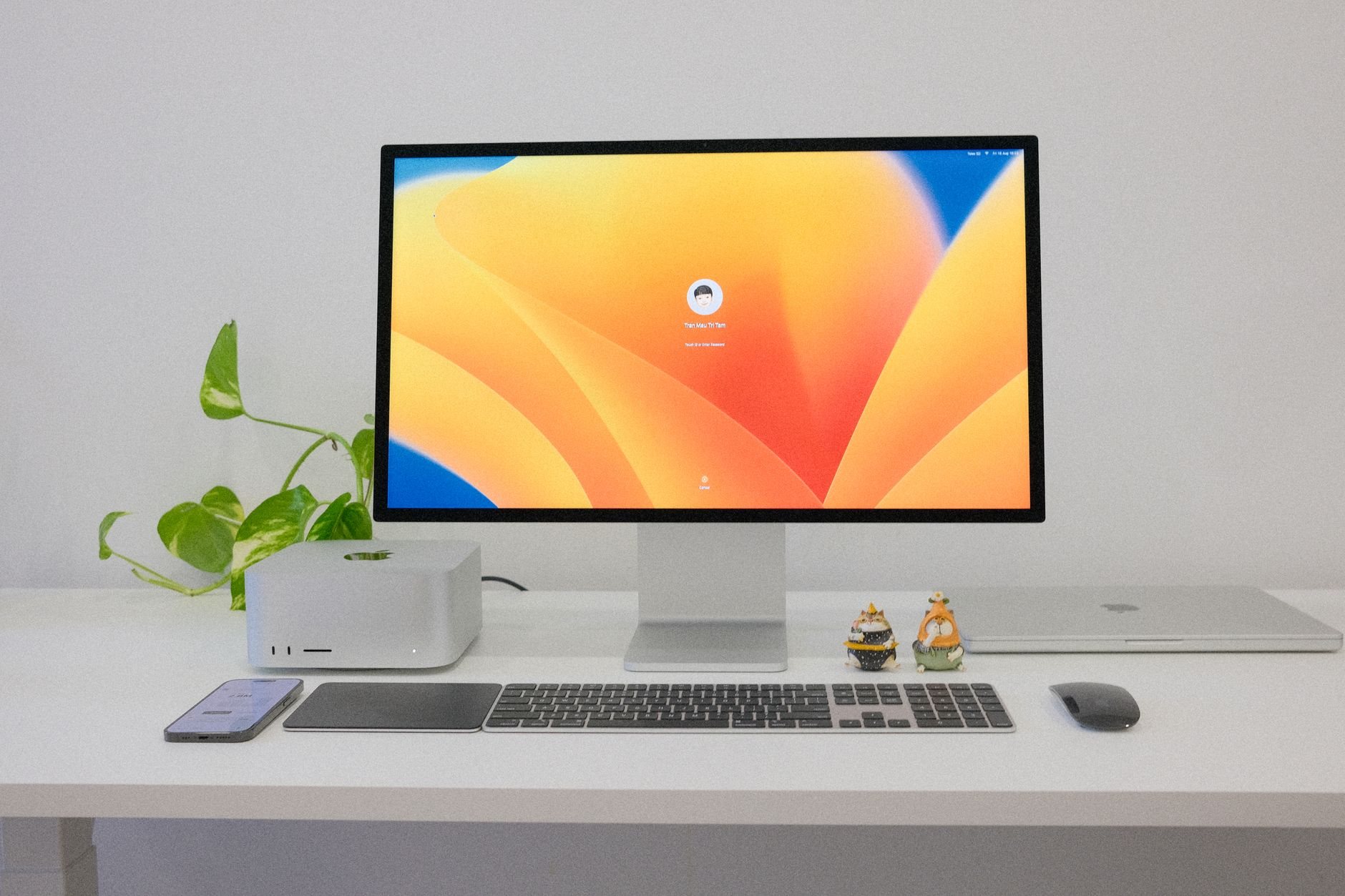 Professionelle Website erstellen: 5 Schritte